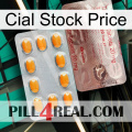 Cial Stock Price new13